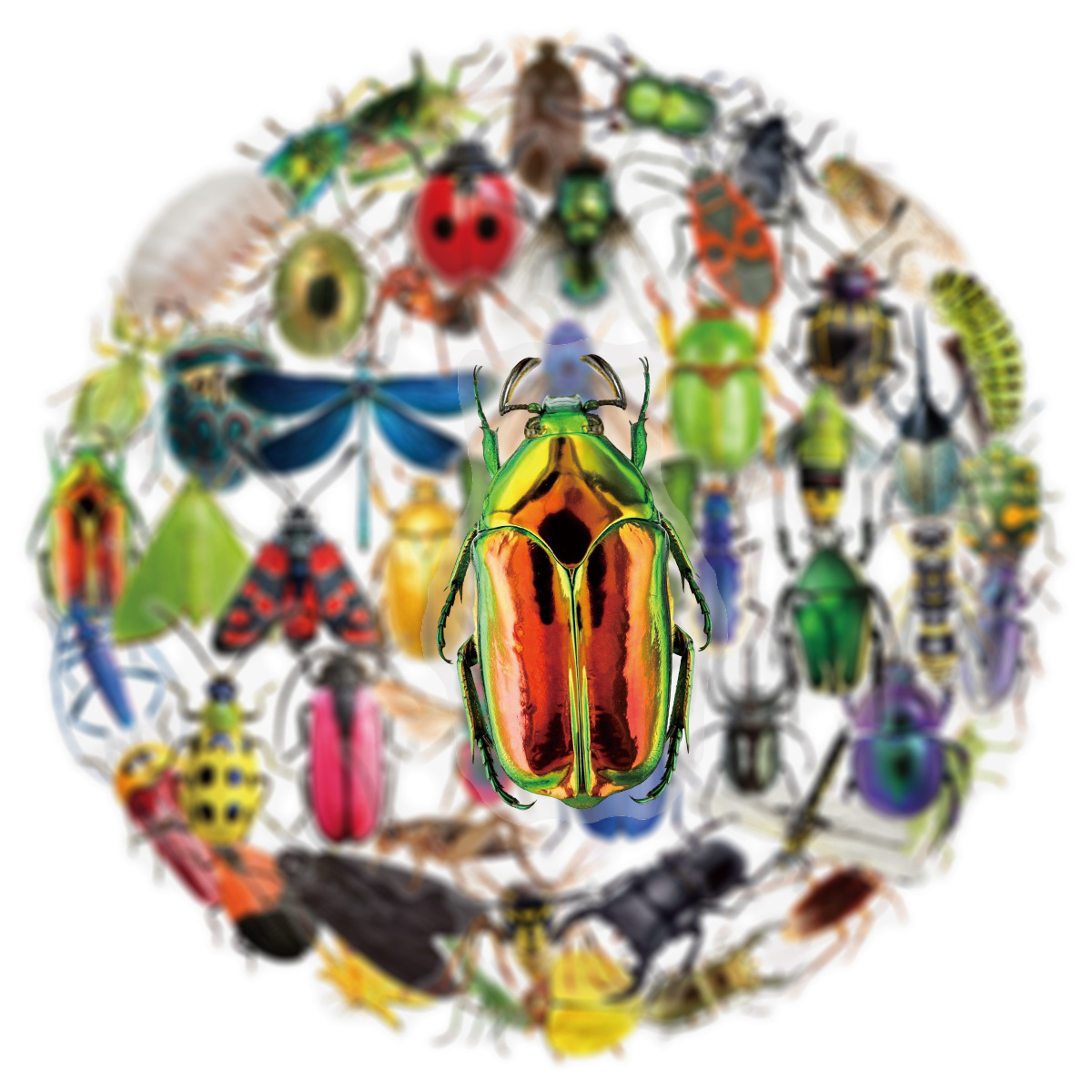 50Pcs Transparent PET Sticker  - Laptop Accessories Cool recension och pris