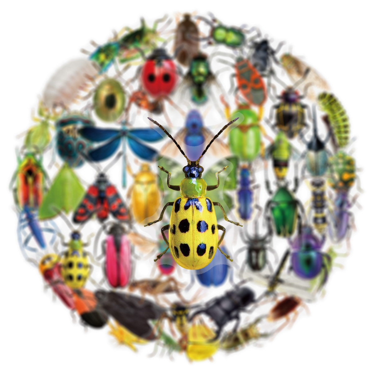 50Pcs Transparent PET Sticker  - Laptop Accessories Cool recension och pris
